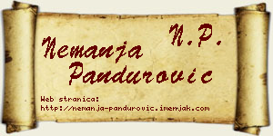 Nemanja Pandurović vizit kartica